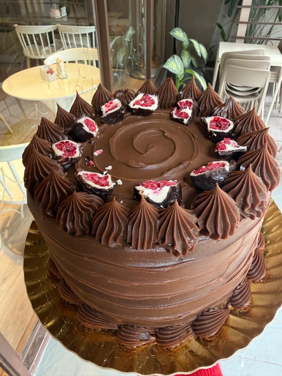 Torta de chocolate y frambuesa